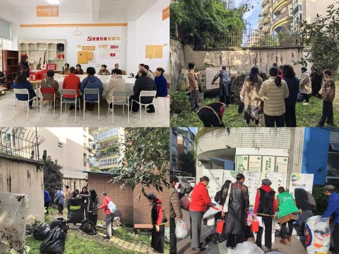 成都根与芽2025年11月工作简报