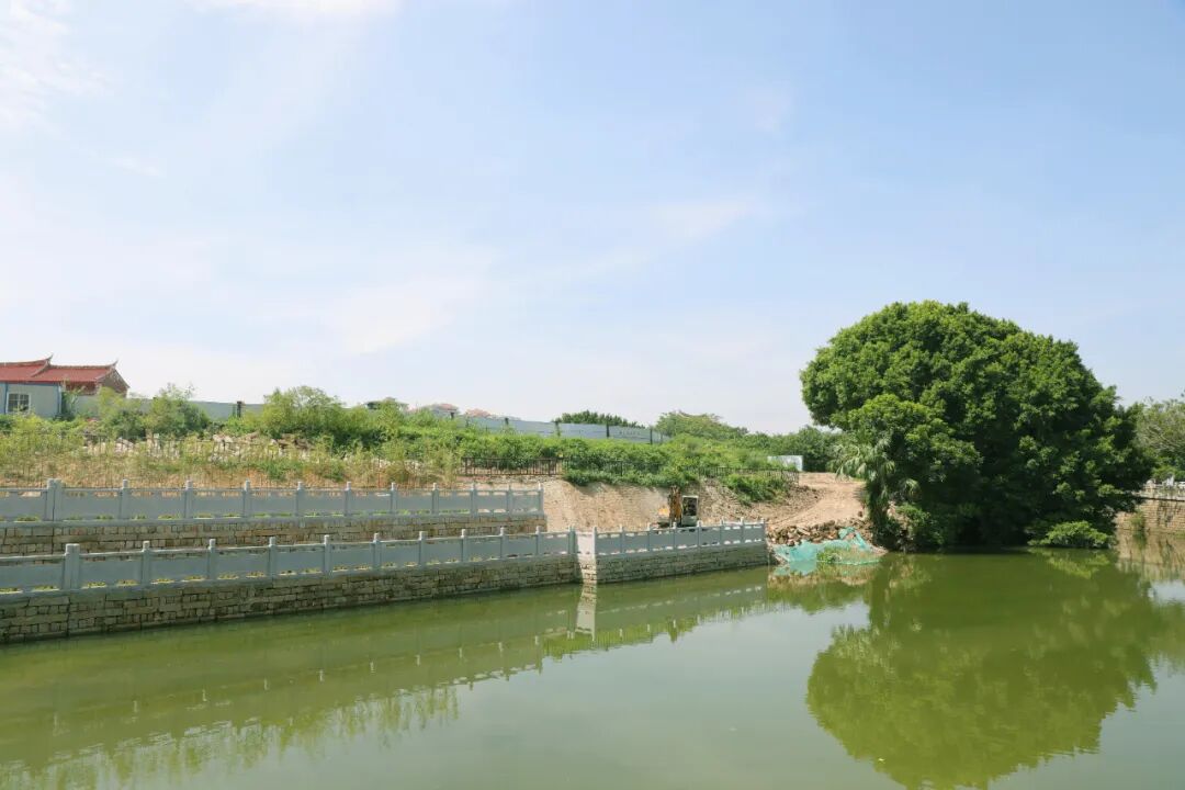 鲤城2026年度重点项目确定！(图5)