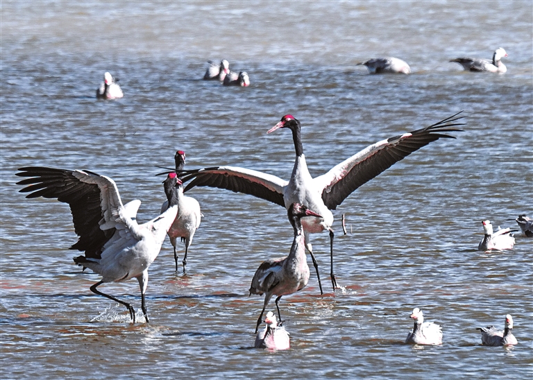 法护绿水青山 绘就美丽中国新画卷(图2)
