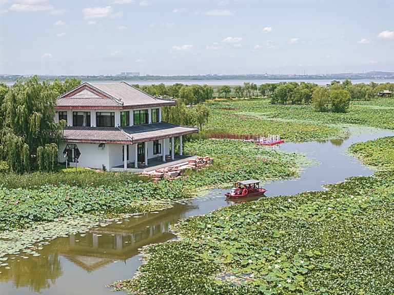 法护绿水青山 绘就美丽中国新画卷(图3)
