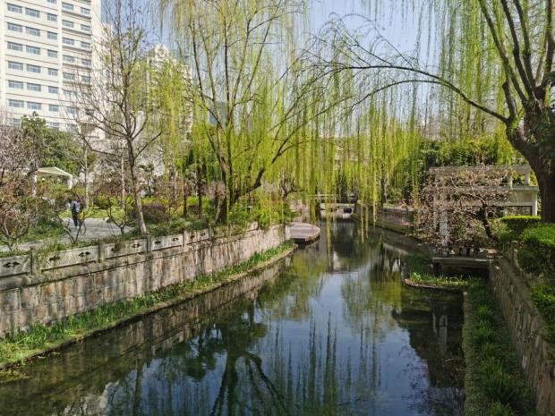 看“颜值”还是重数据？上海先和市民对齐河湖治理颗粒度(图2)