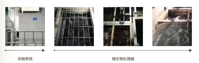 2025爱普生可持续发展报告：以全生命周期降碳开创可持续绿色行动(图7)