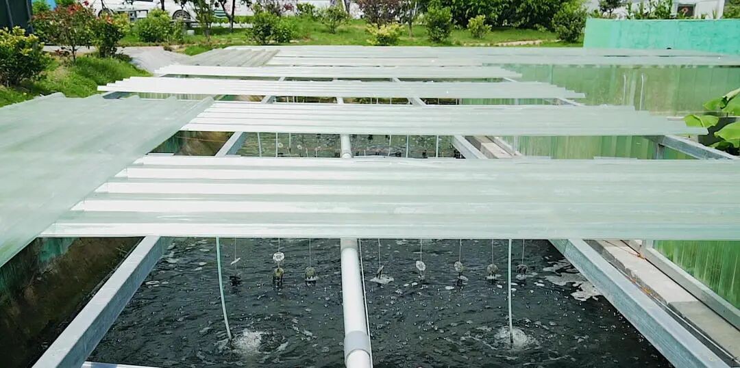 108个“碳账本”管出“零废村庄”(图2)