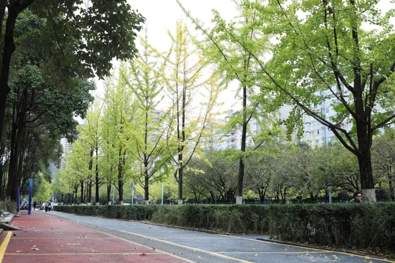 宜居观山湖：绘就城、社、乡共生幸福画卷(图4)